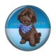 Cabochon Résine - chien