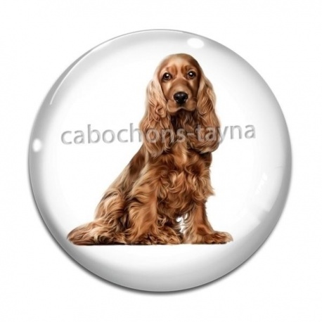 Cabochon Verre - chien