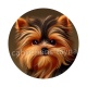 chien