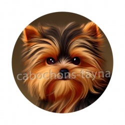 chien