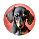 chien
