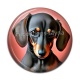Cabochon Résine - chien