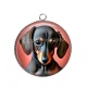 Pendentif Cabochon Argent - chien