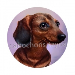 chien