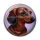 Cabochon Résine - chien