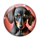 Cabochon Verre - chien