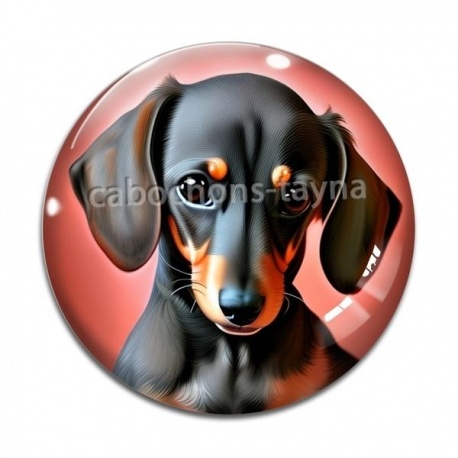 Cabochon Verre - chien