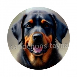 chien