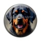 Cabochon Résine - chien