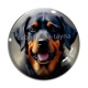 Cabochon Verre - chien