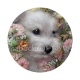 chien