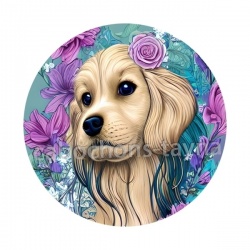 chien