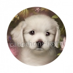 chien