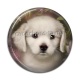 Cabochon Résine - chien