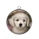 Pendentif Cabochon Argent - chien