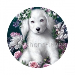 chien