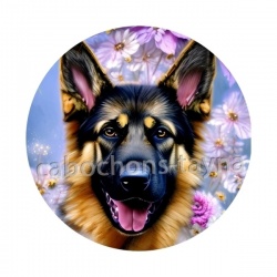 chien