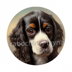 chien