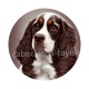 chien