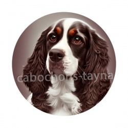 chien