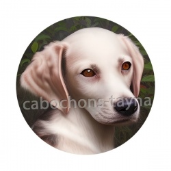 chien