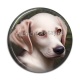 Cabochon Résine - chien