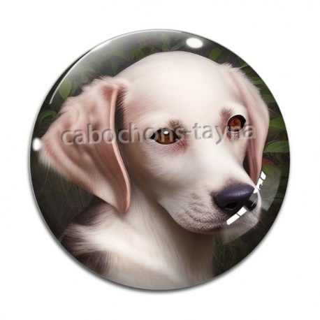 Cabochon Verre - chien