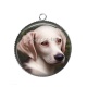 Pendentif Cabochon Argent - chien