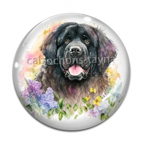 Cabochon Verre - chien