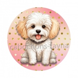 chien