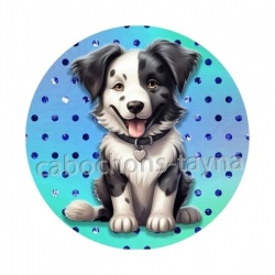 chien