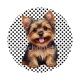 chien