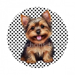 chien