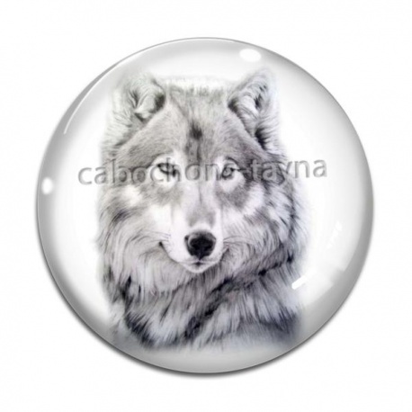 Cabochon Verre - loup