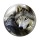 Cabochon Verre - loup