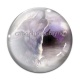 Cabochon Verre - loup