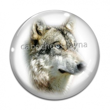 Cabochon Verre - loup
