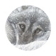 loup