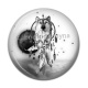 Cabochon Résine - loup