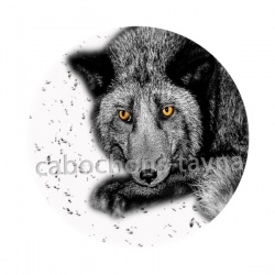 loup