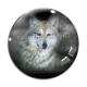 Cabochon Verre - loup
