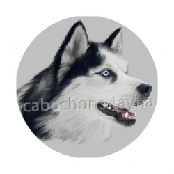 loup