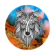 loup
