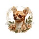 chien