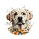 chien