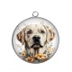 Pendentif Cabochon Argent - chien