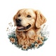 chien