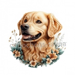 chien
