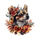 chien