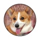 chien